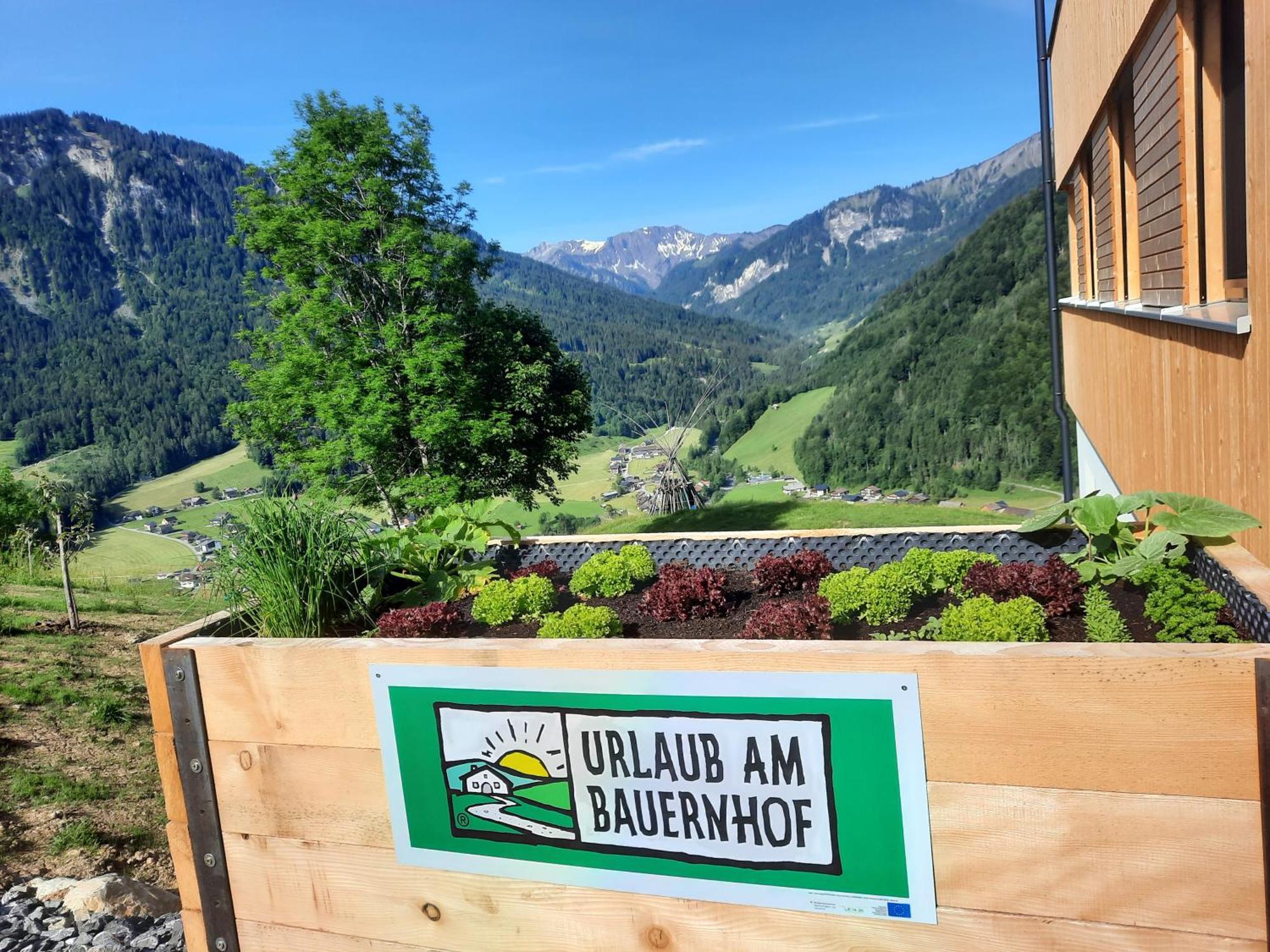 Panoramahof Bergglück Apartment Mellau Bagian luar foto